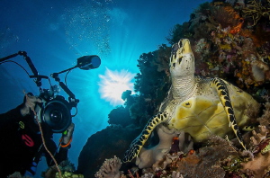 Hold that pose! by Steven Miller 